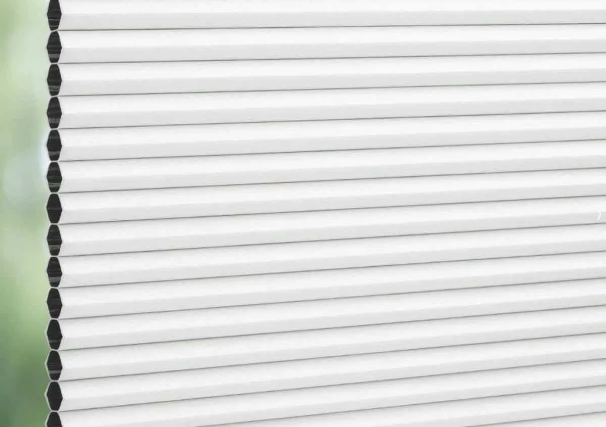 BlindSpace Concealed Blinds: 10 Critical Things You Must Know
